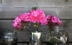 Moneta di rame immersa in un vaso d'acqua con fiori recisi.