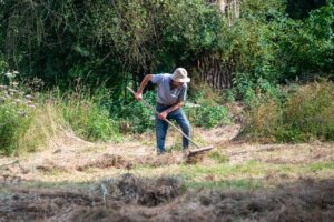 Pacciamatura con paglia nell'orto, per proteggere piante dal caldo e mantenere l'umidità del terreno.
