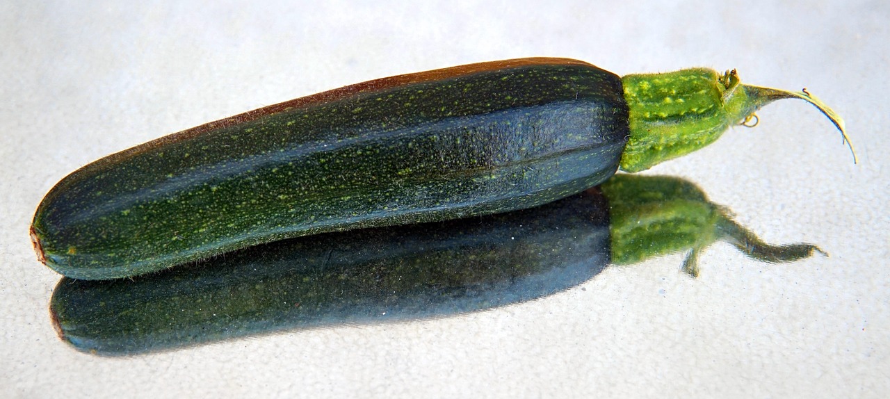 Zucchine marce su pianta, evidenziando il problema dell'impollinazione manuale in agricoltura.